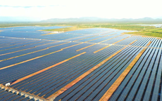 4 công ty 'họ' EA Súp vi phạm lĩnh vực chứng khoán