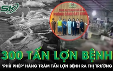 Hà Nội: Phá đường dây ‘phù phép’ 300 tấn lợn bệnh vào trường học, chợ dân sinh
