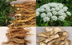 3 bài thuốc sắc trị mụn trứng cá