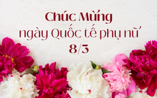Những lời chúc ngày Quốc tế Phụ nữ 8/3 hay và ý nghĩa nhất 2026