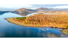 Đẹp ngỡ ngàng rừng khộp mùa thay lá