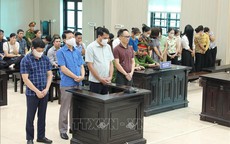 Tuyên án vụ đưa, nhận hối lộ trong cung cấp thực phẩm trường mầm non