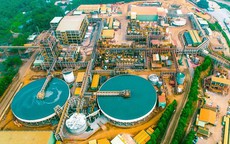 Cổ phiếu MSR được Agriseco kỳ vọng tăng 16%