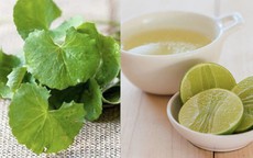 Mẹo chữa nám da từ rau má