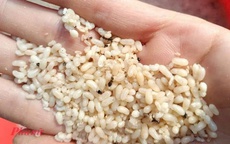 Ăn trứng kiến, người phụ nữ 63 tuổi bị sốc phản vệ