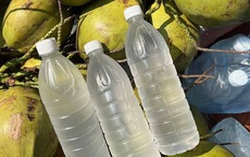 4 loại đồ uống giúp giảm axit uric hiệu quả