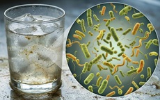 Đá viên, trà đá vỉa hè có thể là “ổ vi khuẩn” mùa du lịch