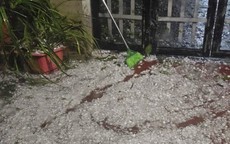 Mưa đá hạt to như cái chén trút xuống Bắc Hà, Lào Cai