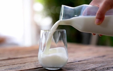 Uống nhiều sữa có tốt cho việc tăng cơ?