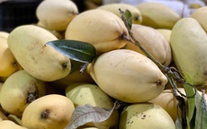 Một loại quả Việt bán đầy chợ giá rẻ bèo, xuất khẩu sang nước ngoài bán đắt như ‘vàng’