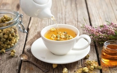 Uống trà hoa cúc mỗi ngày, axit uric thay đổi ra sao?