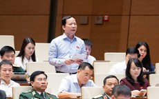 Sớm sắp xếp thôn, tổ dân phố, ban hành chế độ cho lực lượng không chuyên trách