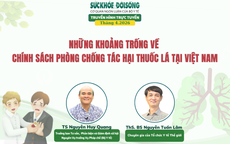 Truyền hình trực tuyến: Những khoảng trống về chính sách phòng chống tác hại thuốc lá tại Việt Nam