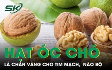 Hạt óc chó lá chắn vàng cho tim mạch, não bộ 