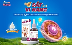 Sắt vi nang hấp thu cao thế hệ mới từ Italy