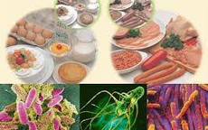 Bộ Y tế yêu cầu truy suất nguồn gốc thực phẩm vụ hơn 40 học sinh nghi ngộ độc ở Cà Mau