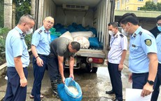 Hơn 1 tấn lòng lợn bốc mùi ôi thiu trong ô tô tải
