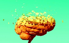 Hy vọng mới trong cuộc chiến chống Alzheimer từ loại dược phẩm quen thuộc