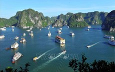 Thống nhất quy chế phối hợp quản lý tàu du lịch giữa vịnh Hạ Long và vịnh Lan Hạ