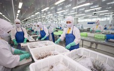 KBSV nhận định, tiềm năng tăng giá của cổ phiếu FMC có thể đạt 47%