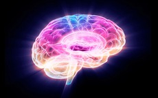 Phát hiện loại protein đẩy nhanh quá trình lão hóa não