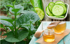 Tạm biệt tóc khô xơ với mặt nạ từ loại rau rẻ tiền, dễ kiếm