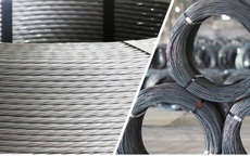 Công ty Xuất nhập khẩu Thiên Nam vi phạm chứng khoán