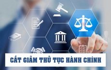 Thủ tướng yêu cầu khẩn trương cắt giảm, phân cấp thủ tục hành chính trước 20/5