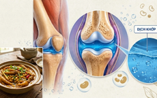 3 món ăn giúp ‘bôi trơn’ khớp gối cho người trung niên và cao tuổi