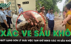 Quản lý thị trường Lạng Sơn lý giải việc tạm giữ 80kg xác ve sầu khô, yêu cầu giấy tờ nguồn gốc, xuất xứ