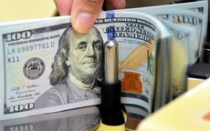 Tỷ giá hôm nay 15/5: Giá USD và NDT đồng loạt tăng nhẹ