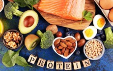 Điều gì xảy ra khi bổ sung protein quá nhiều ?