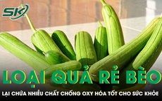 Loại quả rẻ bèo bán đầy chợ nhưng lại chứa nhiều chất chống oxy hóa tốt cho sức khỏe