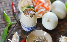 Người cao tuổi ăn trứng vịt lộn có tốt không?