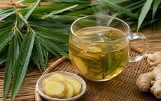 Uống nước lá tre trong mùa hè có tác dụng gì?