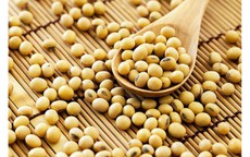 Khi nào người bệnh tuyến giáp cần thay đổi chế độ ăn?