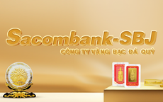 Thanh tra NHNN báo cáo về sai sót tại Sacombank SBJ