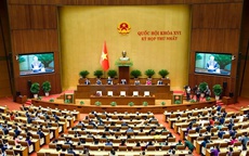 Sẽ giám sát việc bảo đảm an toàn thực phẩm trong năm 2027