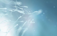 Tinh dịch loãng có gây vô sinh không?