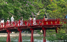 Chim hoang tạo khung cảnh yên bình giữa phố thị Hà Nội