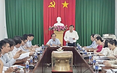 Đầu mùa mưa, nhiều giải pháp được triển khai nhằm giảm số ca sốt xuất huyết nặng