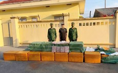 Ngụy trang gần nửa tấn tràng lợn đông lạnh trong bao dứa chuẩn bị 'vượt biên' vào đất liền