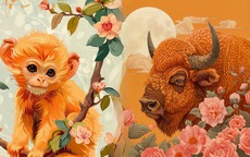 Tử vi 12 con giáp hôm nay 14/6: Tý thu nhập tăng, Ngọ làm ăn tốt