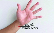 Phương pháp dưỡng sức để giữ ‘ngòi bút khỏe'