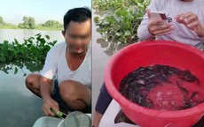 Phóng sinh qua livestream đang tiếp tay cho buôn bán động vật hoang dã