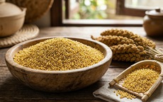 Hạt kê – thực phẩm tốt cho người tỳ vị hư yếu