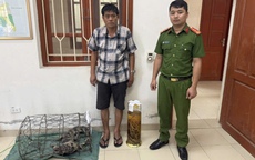 Khởi tố Bùi Ngọc Tài do tàng trữ rượu ngâm tay gấu