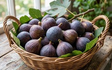 Cách ăn quả sung giúp giảm cân