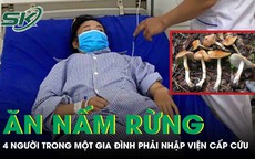 Ăn nấm rừng, 4 người trong một gia đình phải nhập viện cấp cứu