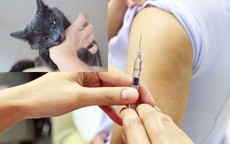Nguy cơ bệnh dại gia tăng mùa nắng nóng, cần tiêm phòng ngay khi bị chó mèo cắn
